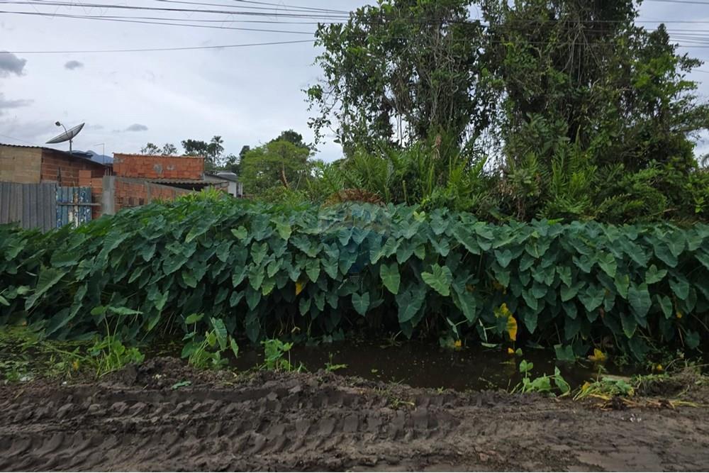 Terreno - Venda - Bertioga , São Paulo - terreno em boraceia.jpg - 631461002-59