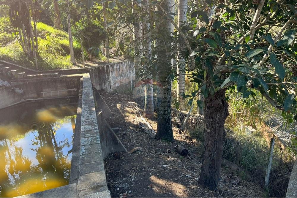 Casa - Venda - Teresópolis , Rio de Janeiro - WhatsApp Image 2025-08-05 at 12.43.26 (3).jpeg - 630191097-4