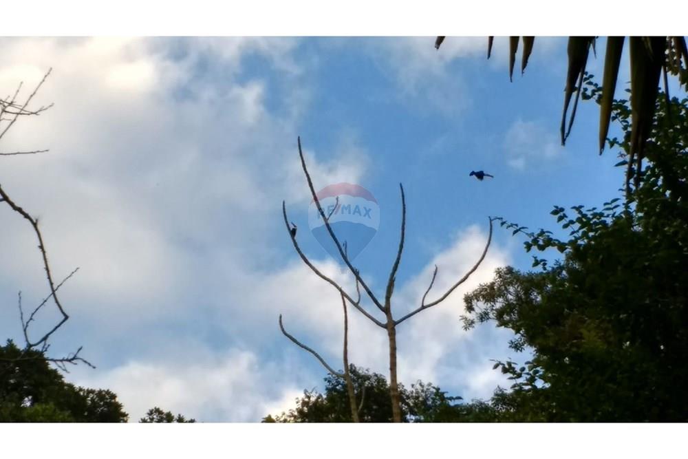 Chácara / Sítio / Fazenda - Venda - Engenheiro Paulo de Frontin , Rio de Janeiro - WhatsApp Image 2025-11-28 at 10.23.33 (3).jpeg - 631411001-103