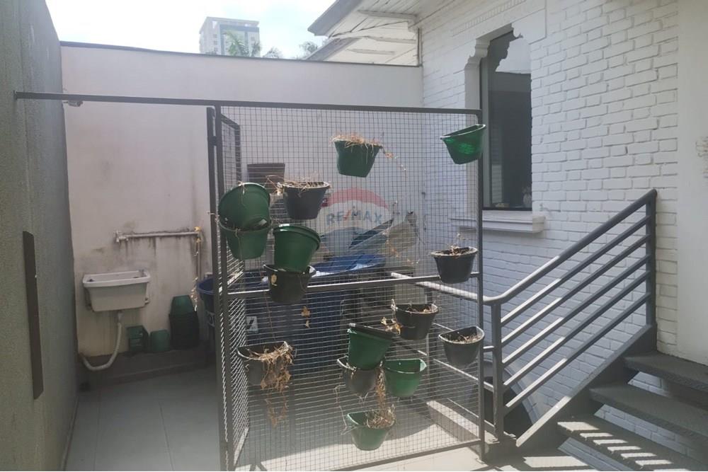 Casa Comercial - Alugar - Santo André , São Paulo - WhatsApp Image 2025-03-07 at 14.31.19 (1).jpeg - Quintal - 631341015-28