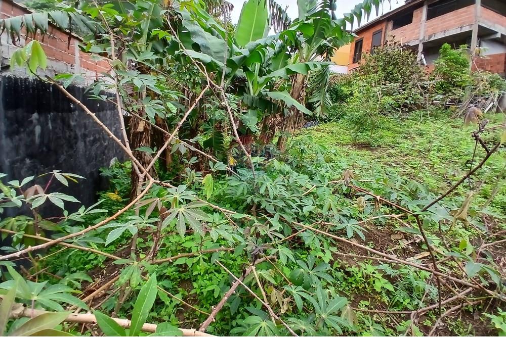 Terreno - Venda - Caraguatatuba , São Paulo - 20251009_100910.jpg - 631571013-20