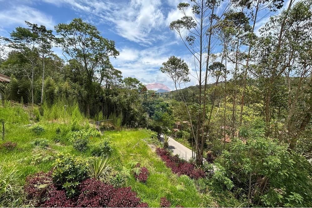 Terreno - Venda - Nova Friburgo , Rio de Janeiro - WhatsApp Image 2026-01-02 at 12.56.00.jpeg - 630551055-124