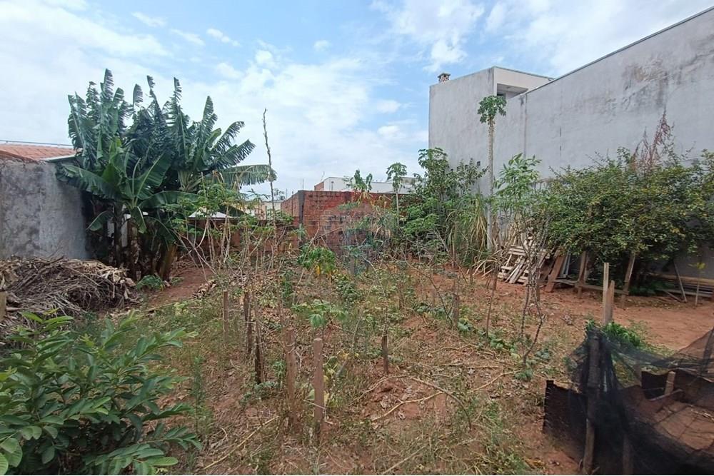 Terreno - Venda - Presidente Prudente , São Paulo - WhatsApp Image 2025-10-10 at 13.15.37 (2).jpeg - 630861066-6