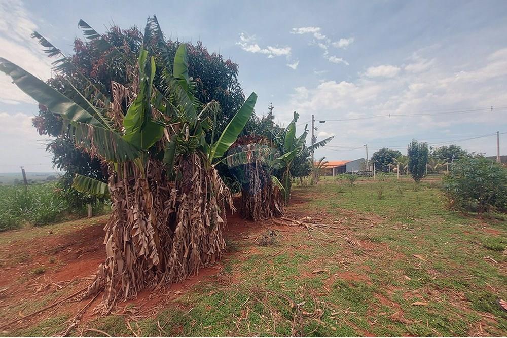 Chácara / Sítio / Fazenda - Venda - Taciba , São Paulo - Chacara Taciba (11).jpg - 630861066-19