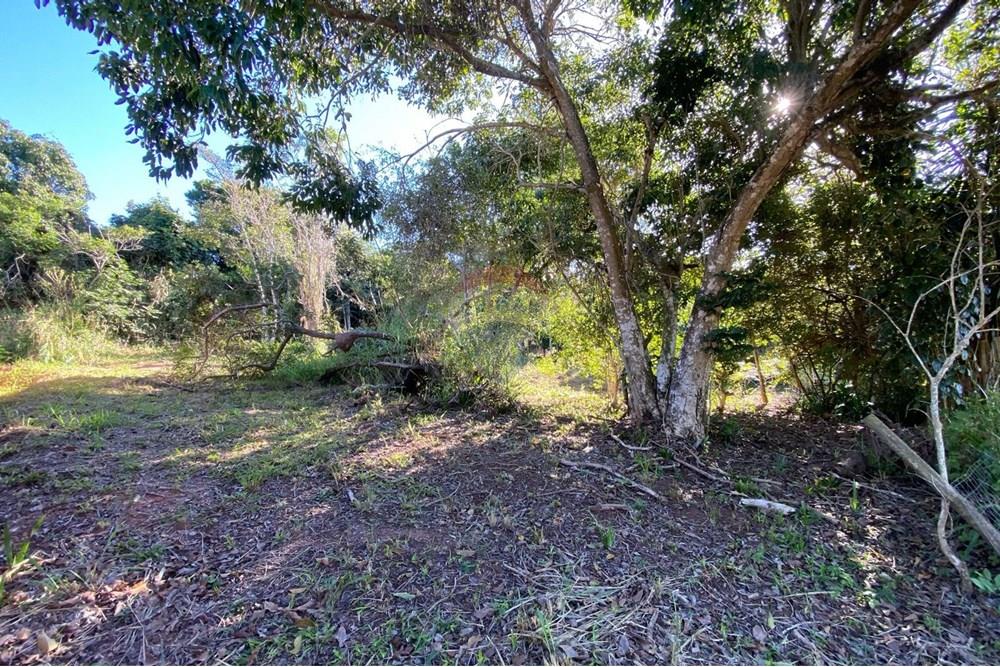 Terreno - Venda - Armação dos Búzios , Rio de Janeiro - WhatsApp Image 2025-07-08 at 11.28.21.jpeg - 630391072-18