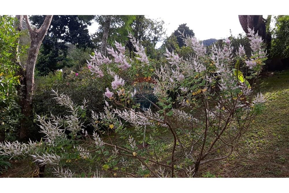 Casa - Venda - Nova Friburgo , Rio de Janeiro - 5d975ec7-2343-49cb-b159-231d11acdcc2.jpeg - 630551055-130