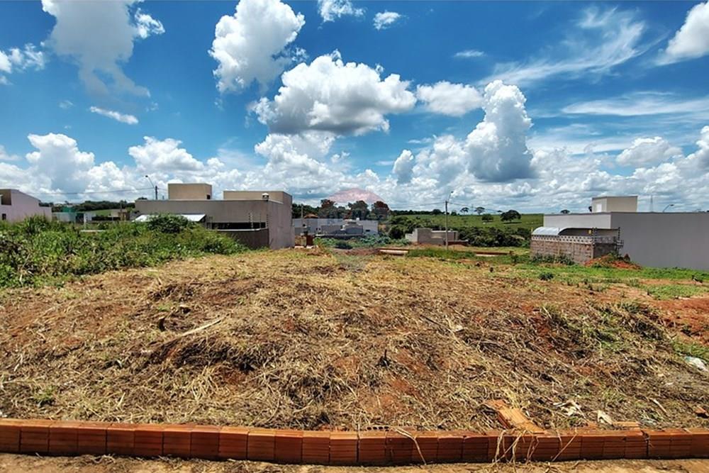 Terreno - Venda - Mirassol , São Paulo - IMG_20260207_130816578_HDR.jpg - 630401039-19
