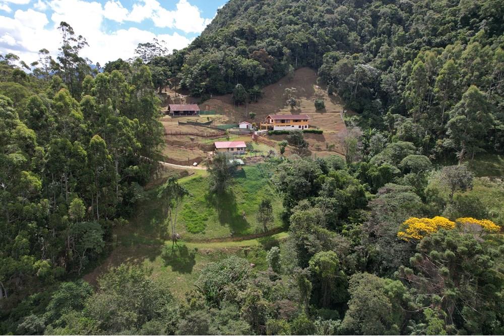Chácara / Sítio / Fazenda - Venda - Nova Friburgo , Rio de Janeiro - dji_fly_20250224_141232_536_1740508459990_photo.JPG - 630551016-153