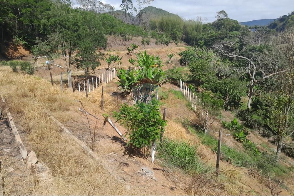 Chácara / Sítio / Fazenda - Venda - Bom Jardim , Rio de Janeiro - WhatsApp Image 2025-12-01 at 11.52.25 (3).jpeg - 630171007-63