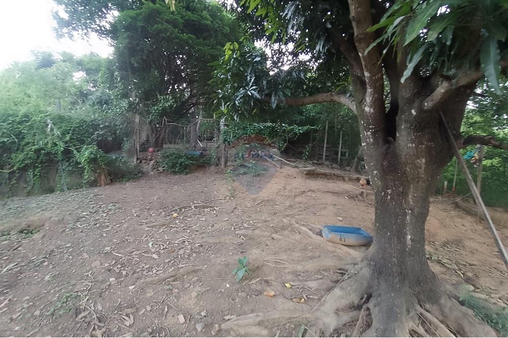 Terreno - Venda - Paraíba do Sul , Rio de Janeiro - IMG_20241127_175952.jpg - 631411001-102