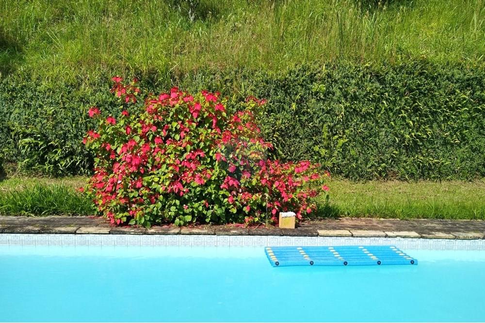 Chácara / Sítio / Fazenda - Venda - Engenheiro Paulo de Frontin , Rio de Janeiro - WhatsApp Image 2025-11-28 at 10.20.04.jpeg - 631411001-103