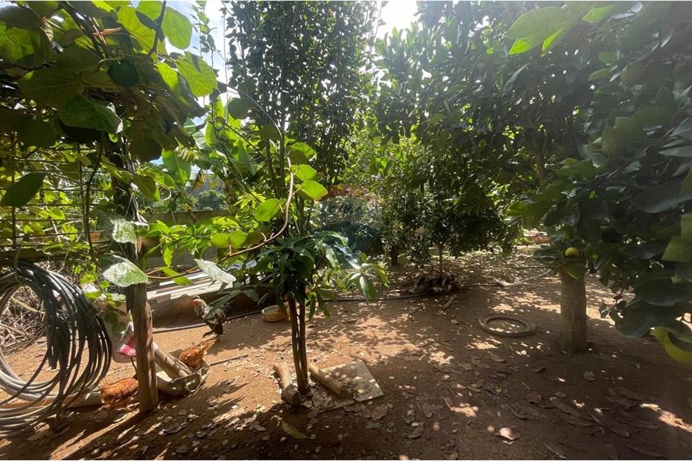 Chácara à venda com 3 quartos, 200m² - Foto 42