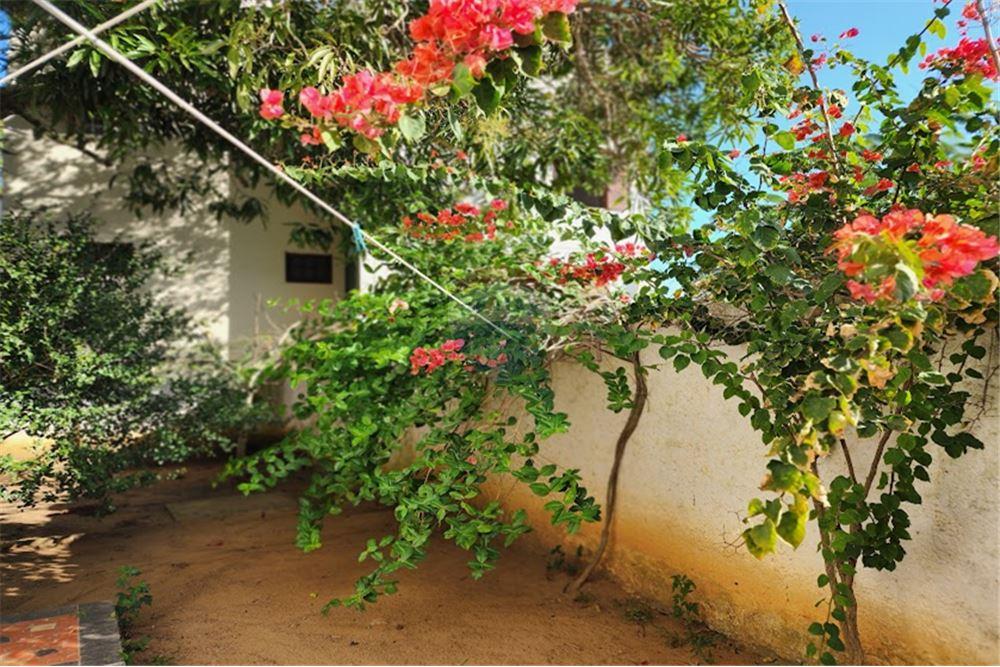 Casa - Alugar - São Pedro da Aldeia , Rio de Janeiro - 17 - 630361033-92