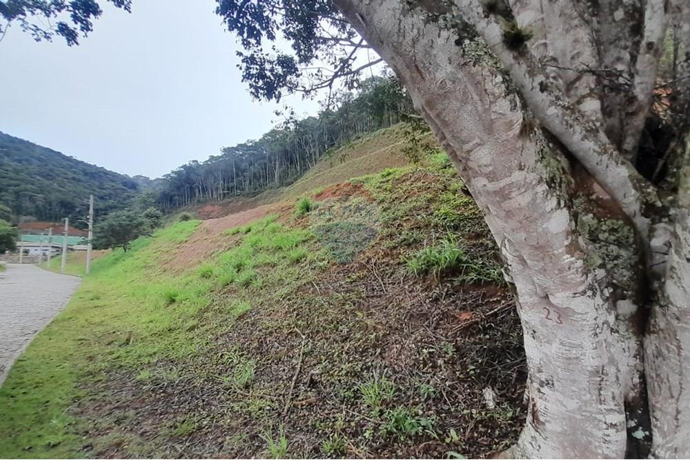 Terreno - Venda - Teresópolis , Rio de Janeiro - Vista da frente do terreno.jpg - 630191084-10
