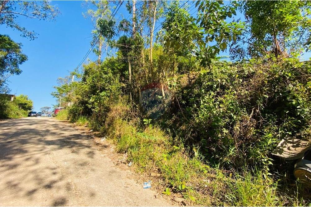 Terreno - Venda - Mairiporã , São Paulo - WhatsApp Image 2025-11-11 at 11.06.08 (4).jpeg - 631361041-42