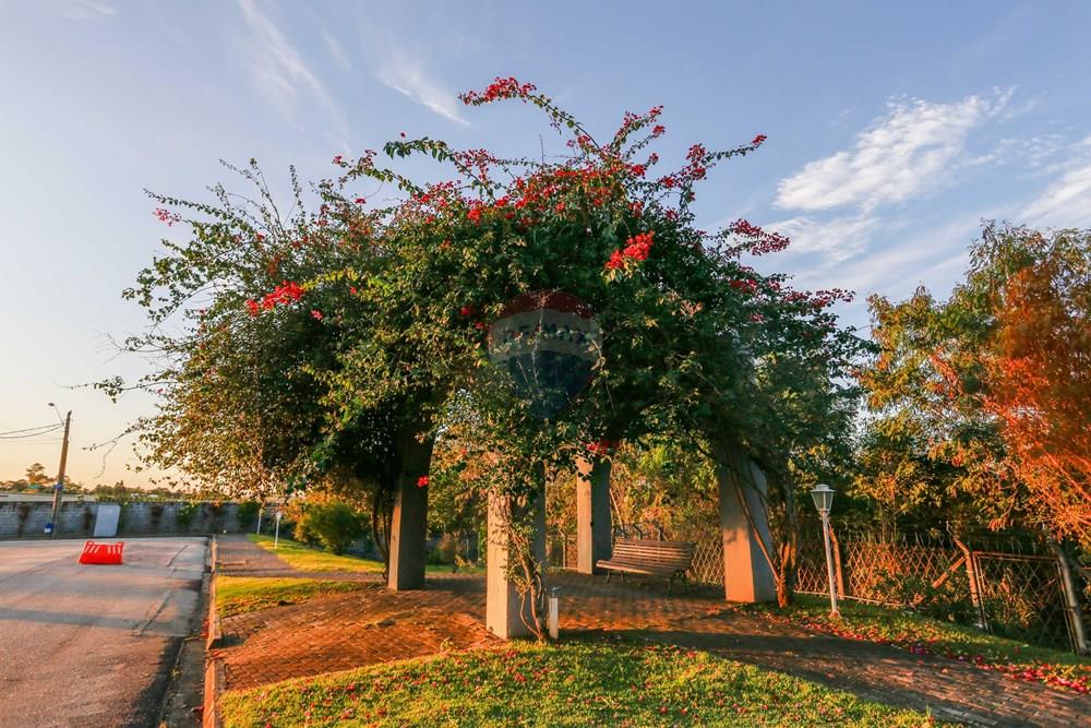 Casa de Condomínio - Venda - Sorocaba , São Paulo - _MG_7450.jpg - 630601173-50