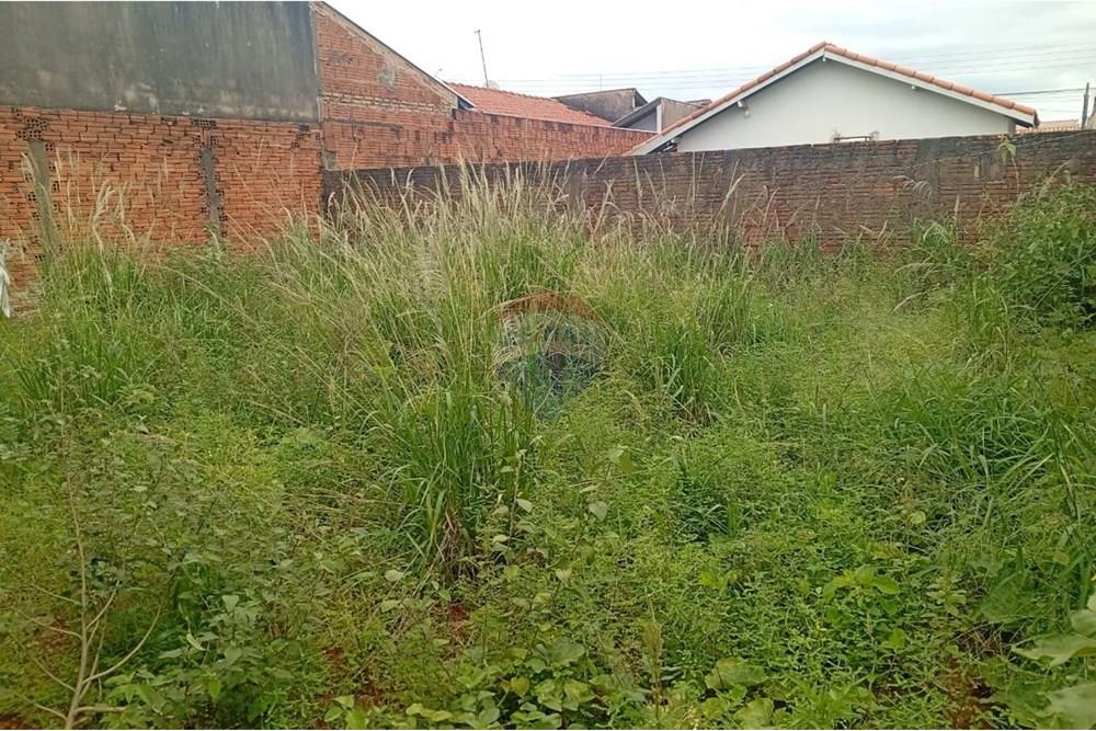 Casa - Alugar - Lins , São Paulo - WhatsApp Image 2025-12-18 at 14.34.47 (1).jpeg - 631011013-1268