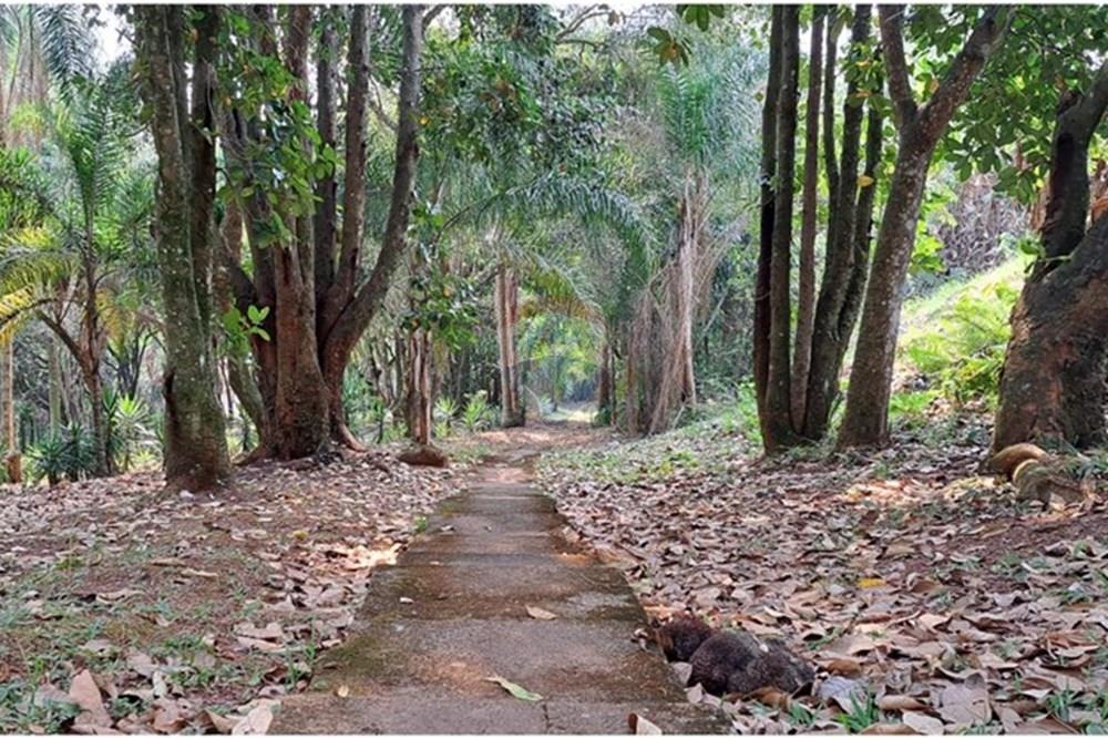 Chácara / Sítio / Fazenda - Venda - Araçariguama , São Paulo - IMG-20240913-WA0068.jpg - 631601010-7