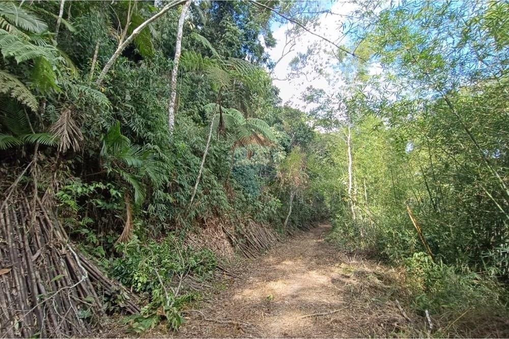 Terreno - Venda - Teresópolis , Rio de Janeiro - 9.jpeg - 630191109-22