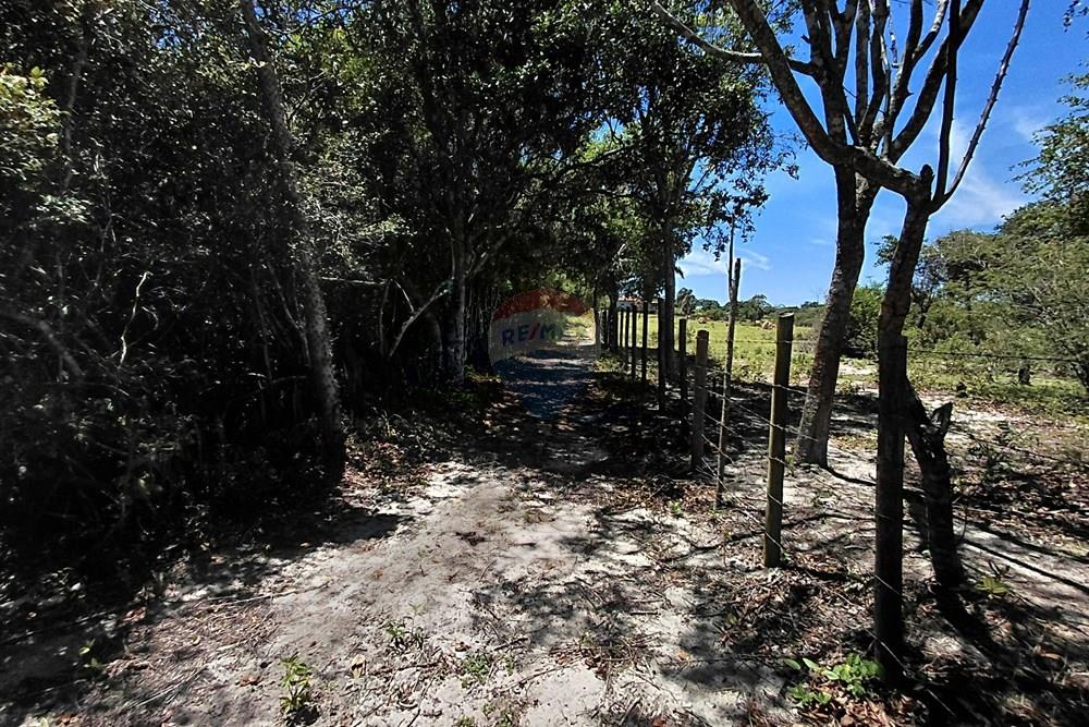 Terreno - Venda - Armação dos Búzios , Rio de Janeiro - 20251211_103749.jpg - 630391071-25