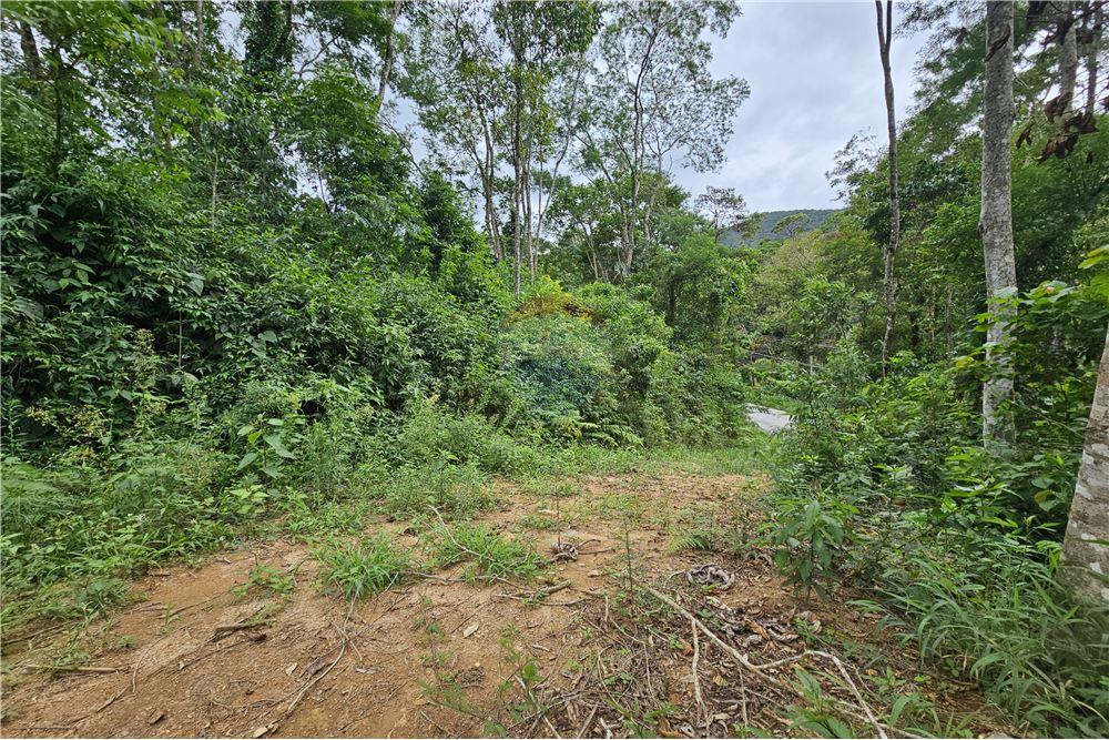 Residential - भूमि - Nova Friburgo , रिओ डे जैनेरो - BR - 43 - 630551016-143