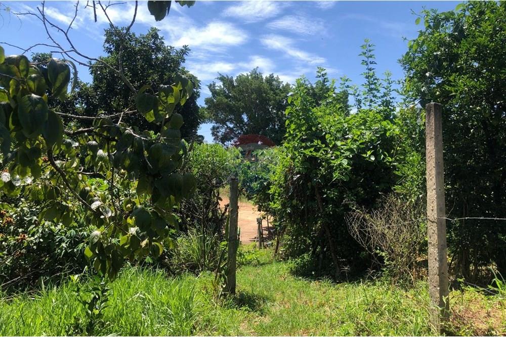 Chácara / Sítio / Fazenda - Venda - Santa Isabel , São Paulo - WhatsApp Image 2025-02-20 at 14.04.34 (5).jpeg - 631491020-25