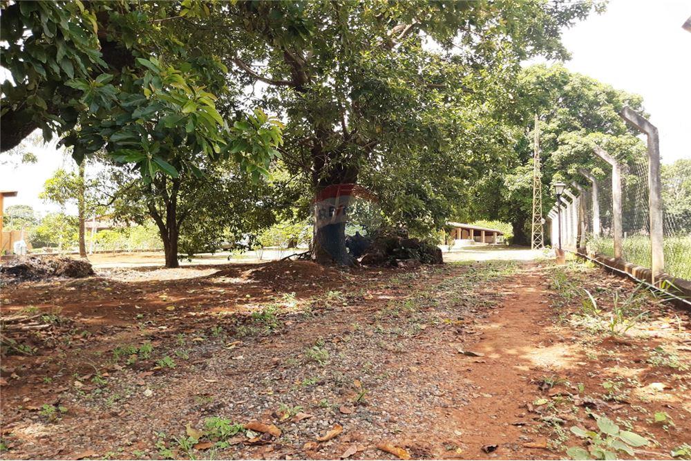 Fazenda à venda com 7 quartos, 400m² - Foto 6