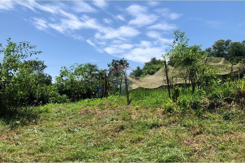 Chácara / Sítio / Fazenda - Venda - Santa Isabel , São Paulo - WhatsApp Image 2025-02-20 at 14.04.35 (5).jpeg - 631491020-25