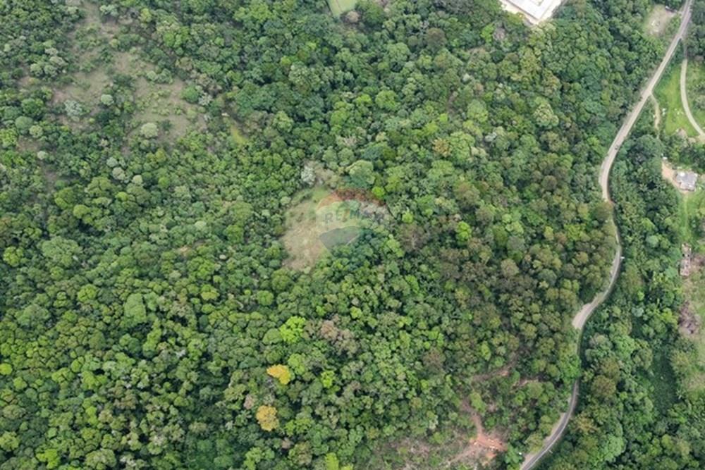 Terreno - Venda - Mairiporã , São Paulo - dji_fly_20251114_111404_821_1763130161182_photo_optimized.jpg - 631361005-166