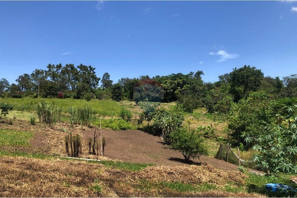 Chácara / Sítio / Fazenda - Venda - Santa Isabel , São Paulo - WhatsApp Image 2025-02-20 at 14.04.30 (6).jpeg - 631491020-25