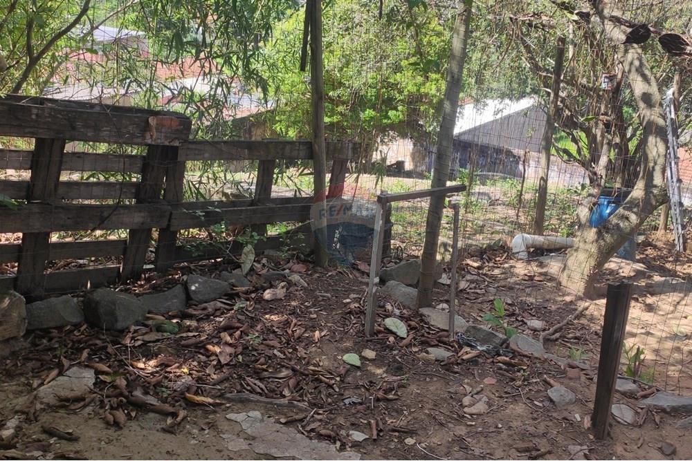 Terreno - Venda - Paraíba do Sul , Rio de Janeiro - IMG_20251106_140317.jpg - 631411001-102