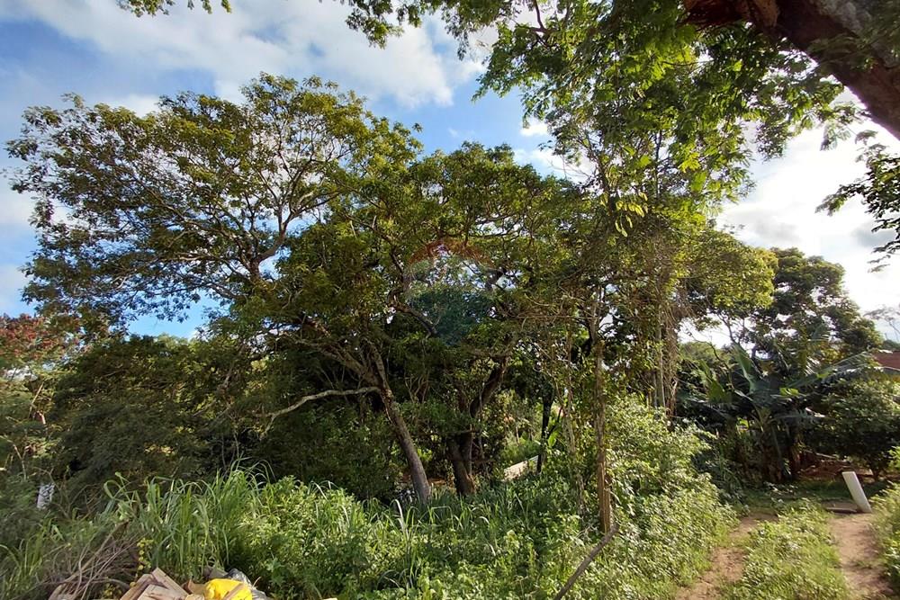 Terreno - Venda - Armação dos Búzios , Rio de Janeiro - 20260206_163958.jpg - 630391071-28