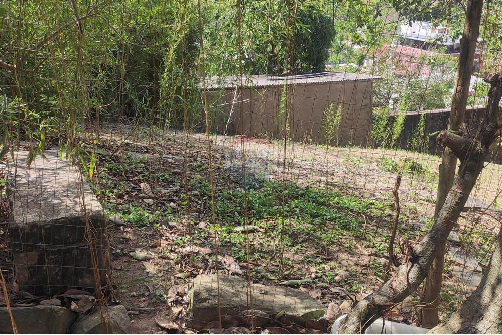 Terreno - Venda - Paraíba do Sul , Rio de Janeiro - IMG_20251106_135750.jpg - 631411001-102