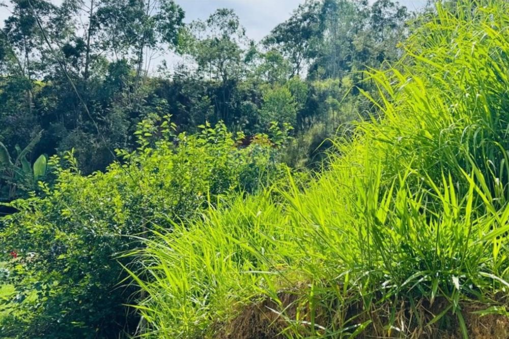 Cj. Comercial/ Sala - Venda - Mairiporã , São Paulo - WhatsApp Image 2026-02-08 at 12.56.55 PM (7).jpeg - 631361065-10