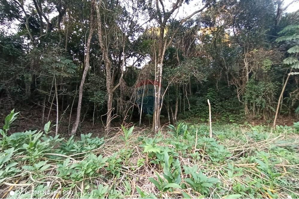 Terreno - Venda - Mairiporã , São Paulo - WhatsApp Image 2025-07-14 at 23.09.37.jpeg - 631361025-36