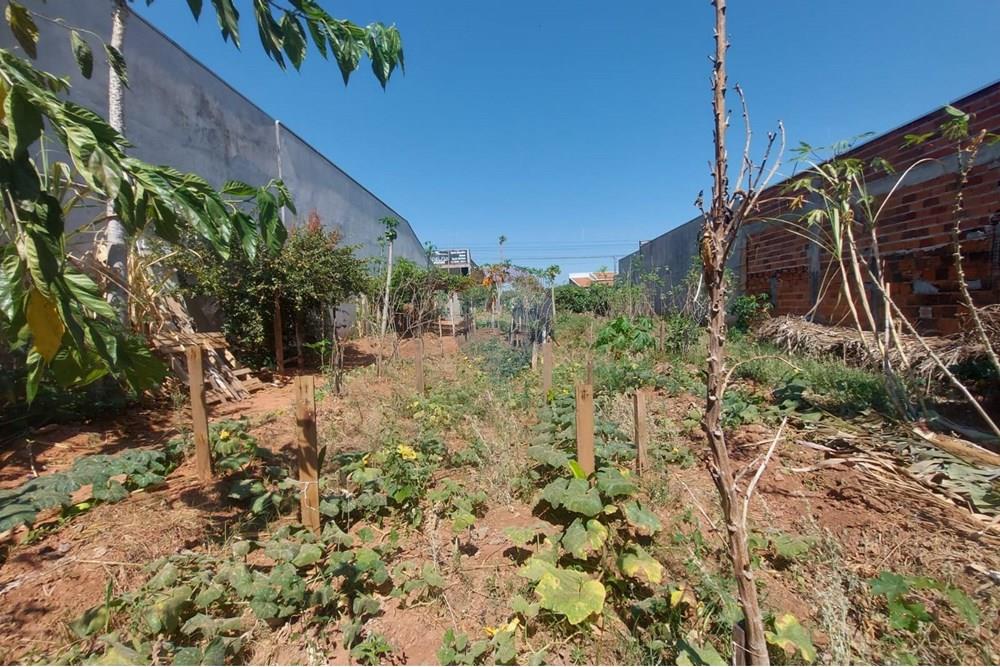 Terreno - Venda - Presidente Prudente , São Paulo - WhatsApp Image 2025-10-02 at 13.02.26 (1).jpeg - 630861066-5