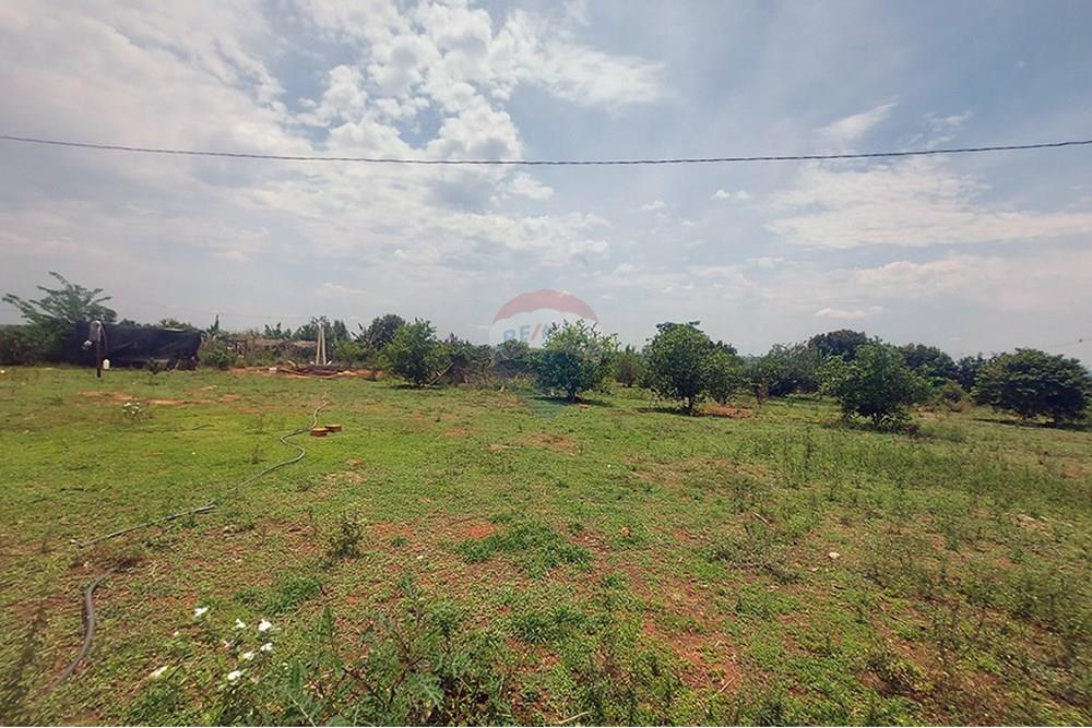 Chácara / Sítio / Fazenda - Venda - Taciba , São Paulo - Chacara Taciba (31).jpg - 630861066-19