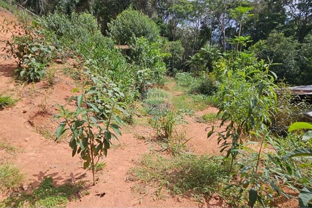 Terreno - Venda - Teresópolis , Rio de Janeiro - WhatsApp Image 2026-01-27 at 14.34.49.jpeg - 630191101-10