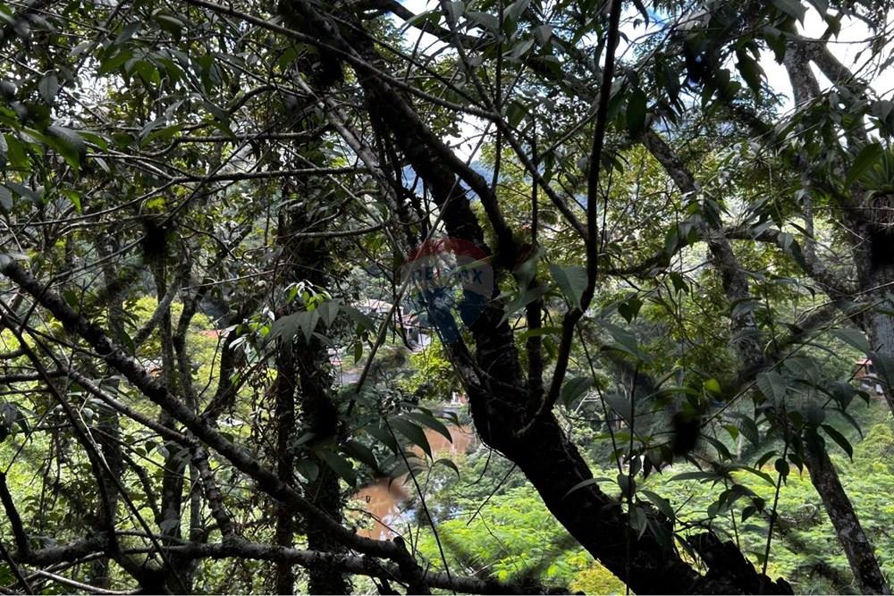 Casa - Venda - Petrópolis , Rio de Janeiro - WhatsApp Image 2026-03-03 at 14.04.44.jpeg - 631611011-11