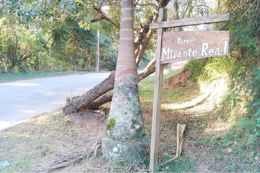 Terreno - Venda - Nova Friburgo , Rio de Janeiro - Foto Terreno  (1).jpg - 631671010-1