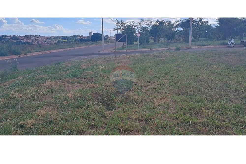 Terreno - Venda - Promissão , São Paulo - IMG-20250317-WA0023.jpg - 631441009-28