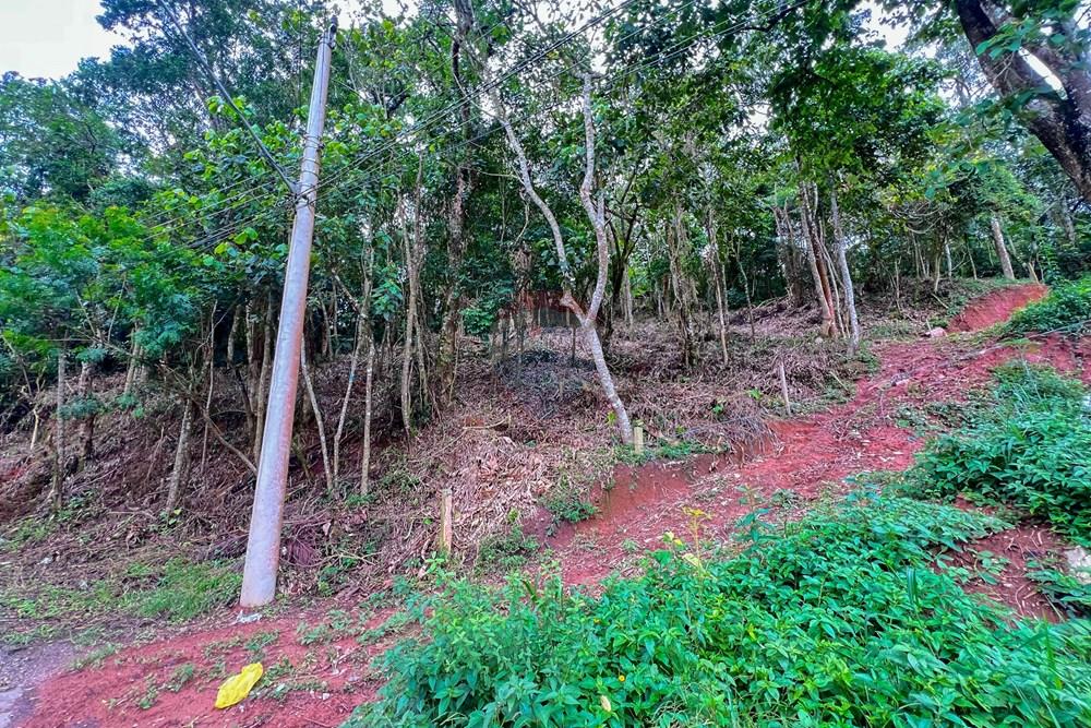 Terreno - Venda - Ribeirão Pires , São Paulo - 1.jpg - 631371054-1