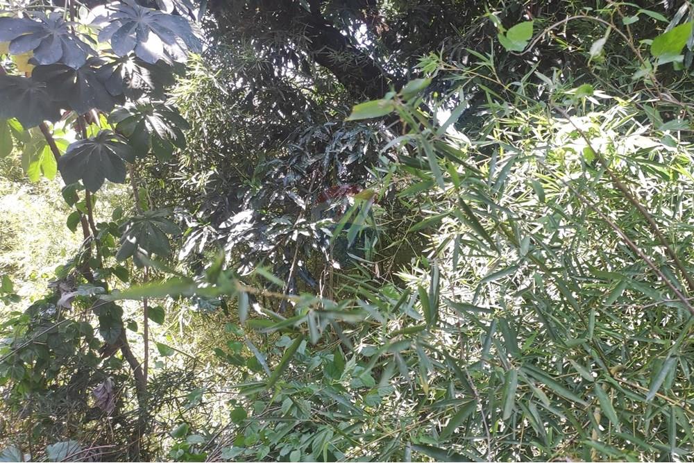 Terreno - Venda - Paraíba do Sul , Rio de Janeiro - IMG_20251106_140038.jpg - 631411001-102