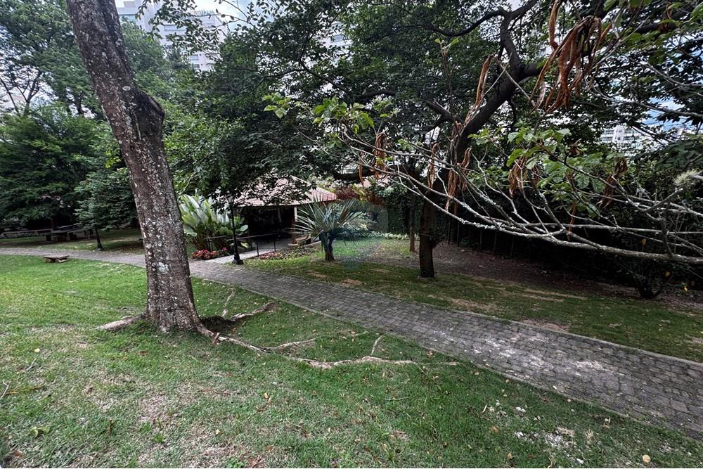 Apartamento - Venda - São José dos Campos , São Paulo - 20251216_194646424_iOS.jpg - 631471026-133