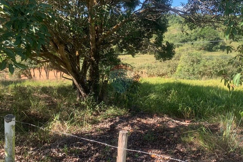 Terreno - Venda - Armação dos Búzios , Rio de Janeiro - WhatsApp Image 2024-06-03 at 10.27.28 (2).jpeg - 630391130-11