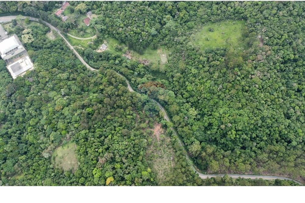 Terreno - Venda - Mairiporã , São Paulo - dji_fly_20251114_111450_826_1763130132493_photo_optimized.jpg - 631361005-166