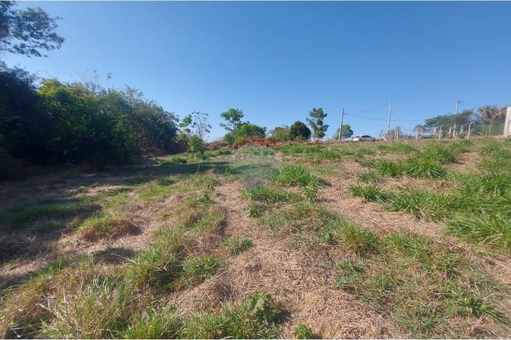 Chácara / Sítio / Fazenda - Venda - Álvares Machado , São Paulo - WhatsApp Image 2025-09-18 at 16.37.29.jpeg - 630861066-7