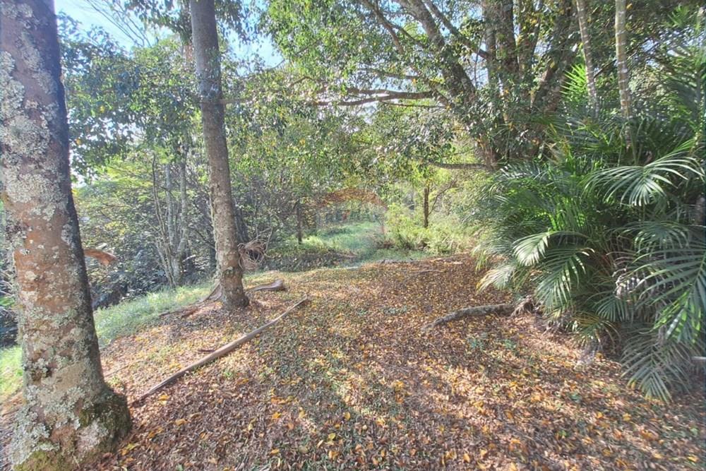 Chácara / Sítio / Fazenda - Venda - São Roque , São Paulo - WhatsApp Image 2026-03-04 at 20.50.59.jpeg - 631601017-39