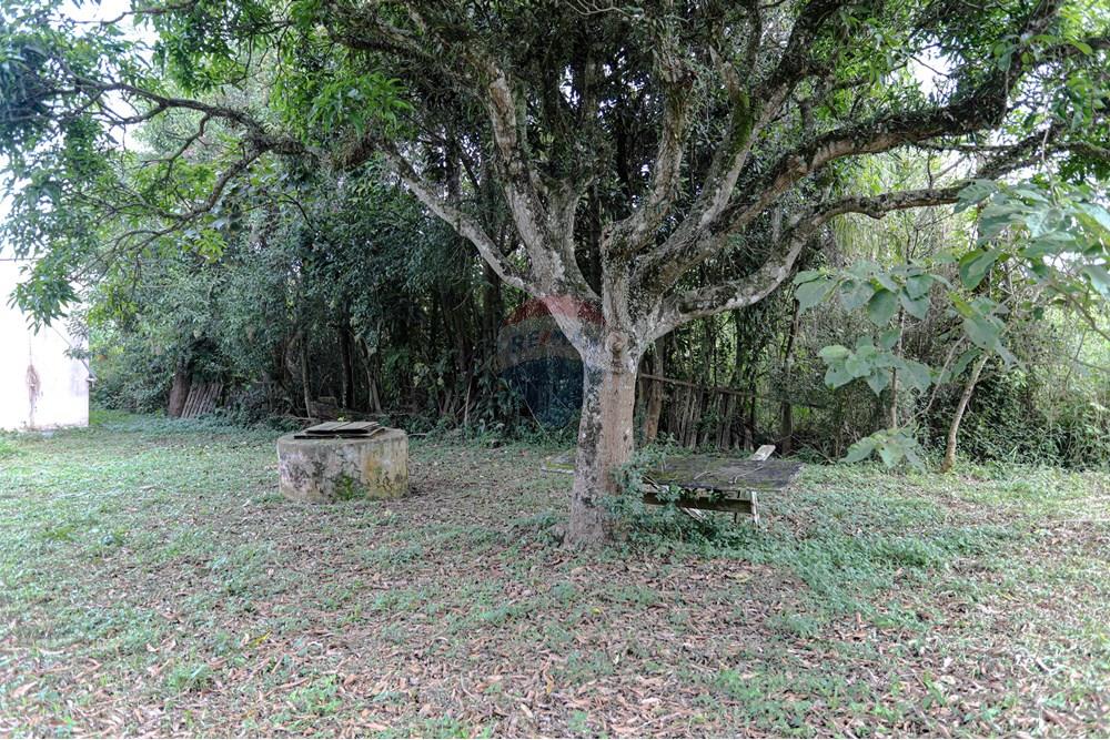 Terreno - Venda - Suzano , São Paulo - Remax- Estrada do Ribeirão 500 Suzano -7086.jpg - 630281011-753