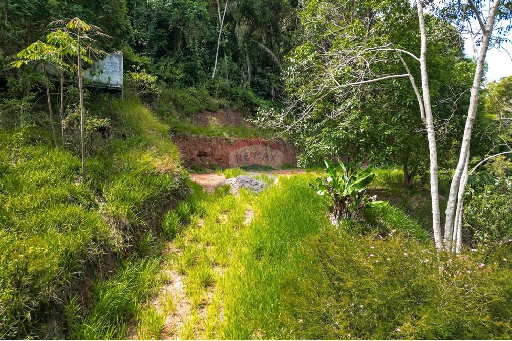 Terreno - Venda - Teresópolis , Rio de Janeiro - WhatsApp Image 2025-03-19 at 22.25.03.jpeg - 630191021-109